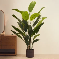Kunstplant Banano, Bananenplant (Musa), 210cm hoog, excl. sierpot