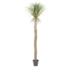Kunstplant Wild Yucca Tree