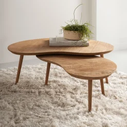 Organische Salontafel Apollo Teakhout, Set van 2 stuks