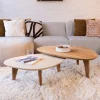 Organische Salontafel Bliss Set van 2 stuks, Mortex en Teakhout, 100 x 70cm