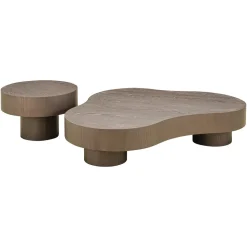 Organische Salontafel Bogor Set van 2 stuks
