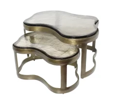 Organische Salontafel Fairfield Glas en Brass Antique, Set van 2 stuks