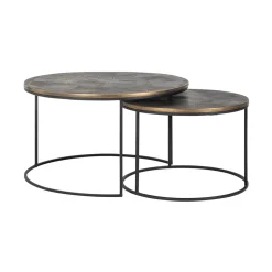 Salontafel Tulum Set van 2 stuks, kleur Brushed Gold