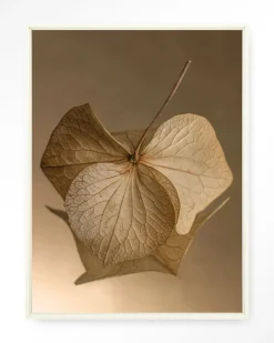 Wandkleed Leaf Me: Sheltered in maat en frame naar keuze