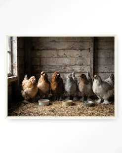 Wandkleed The Chicken Barn in maat en frame naar keuze